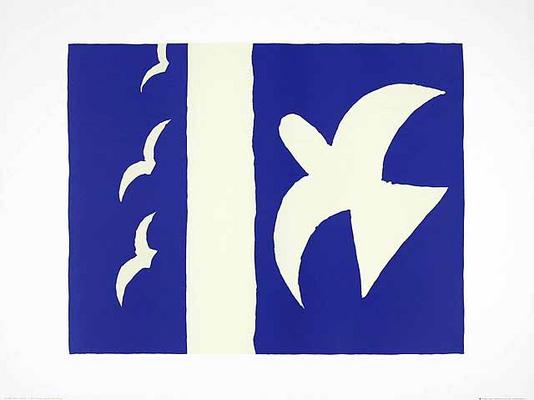 19303_oiseaux_hi (1)